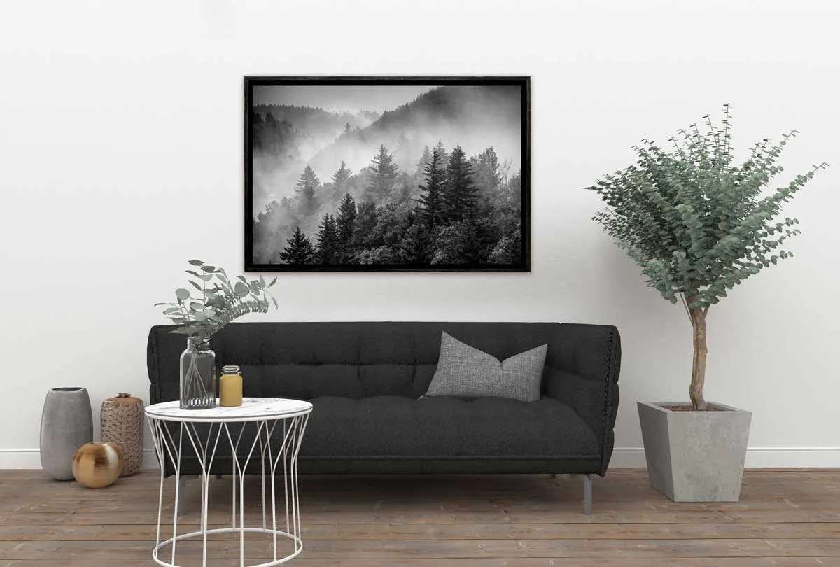 Misty Pine Forest | Canvas Wall Art Print