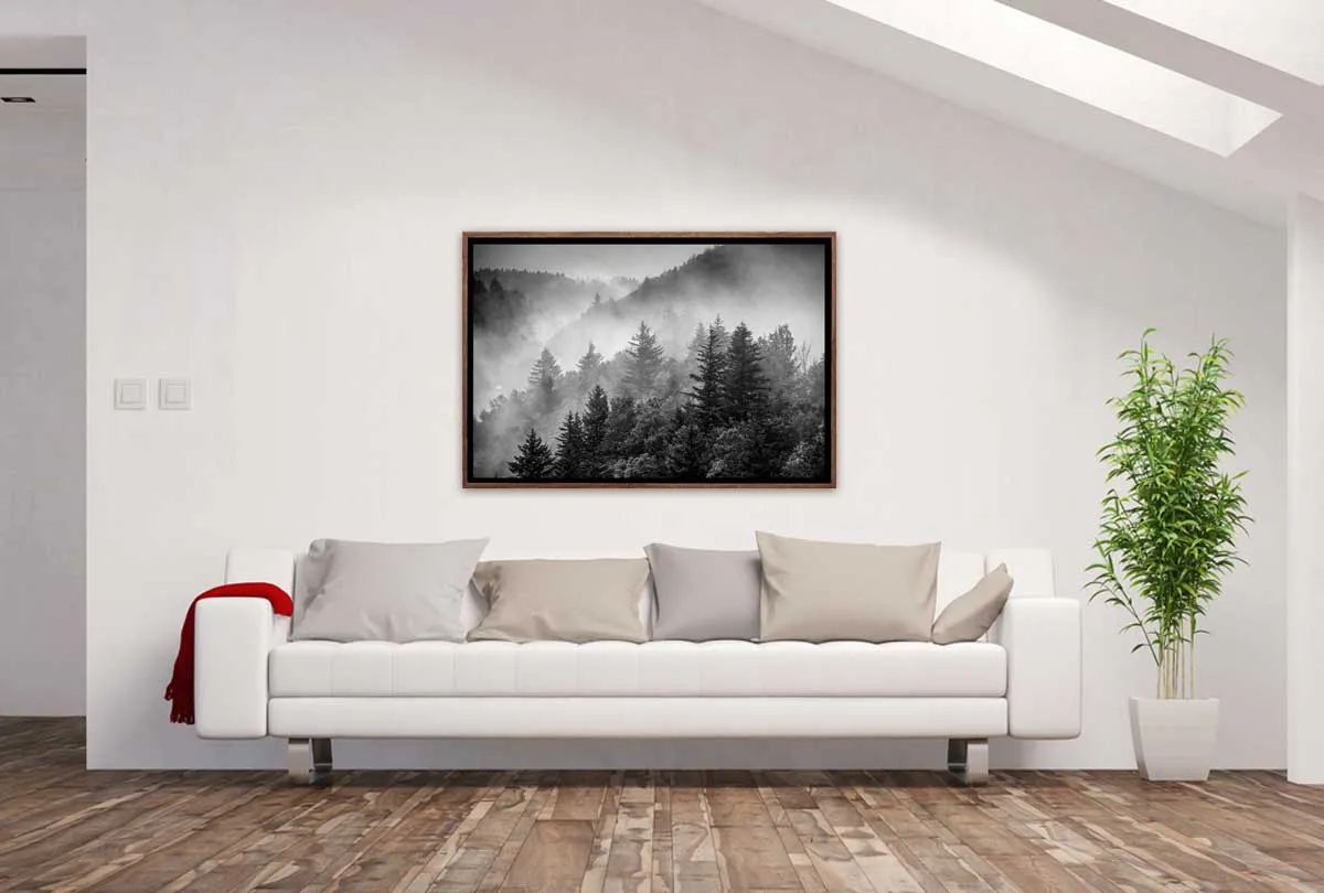 Misty Pine Forest | Canvas Wall Art Print