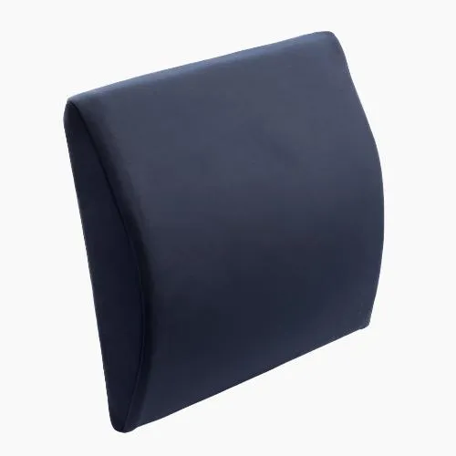 Transit Lumbar Support