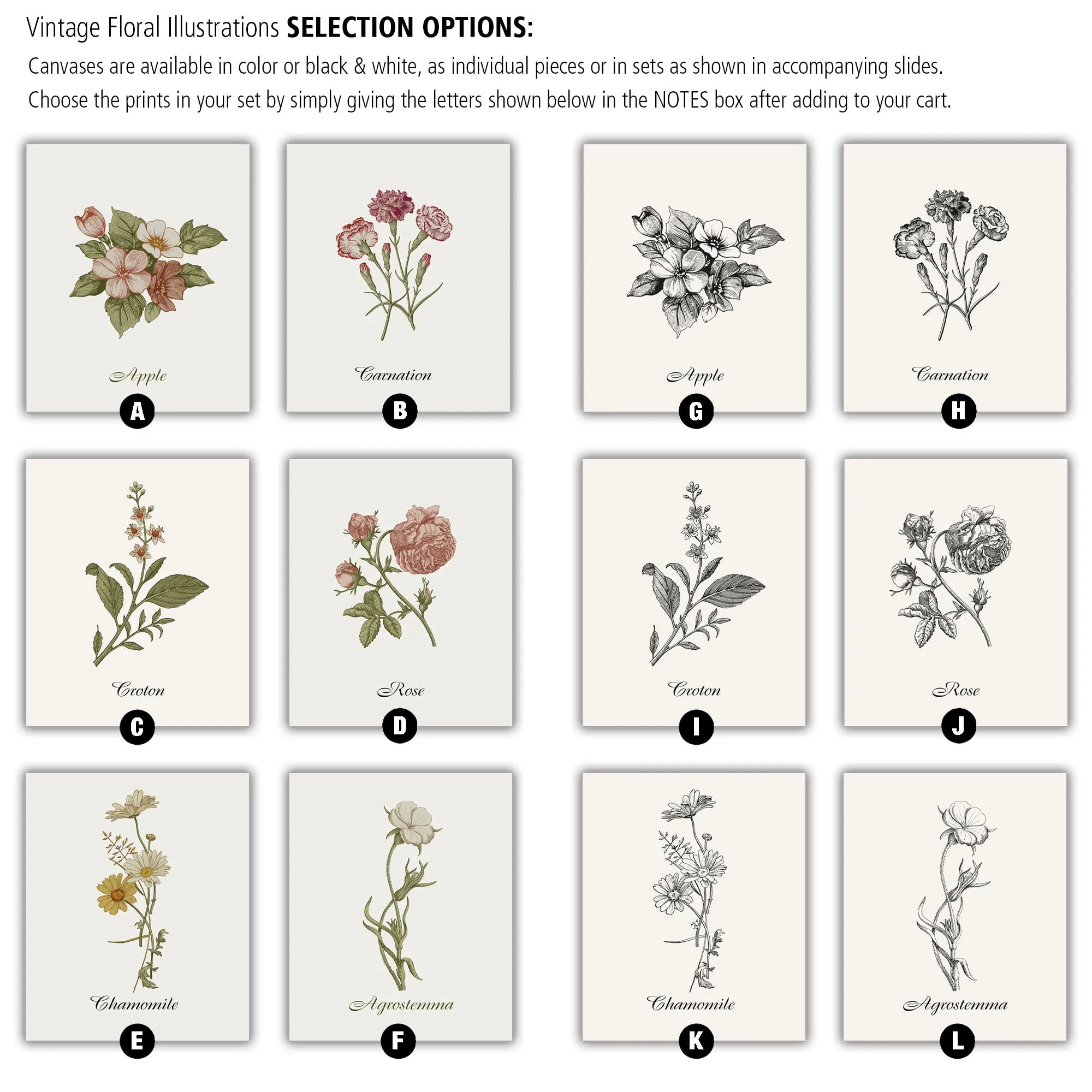 Vintage Floral Canvas Prints