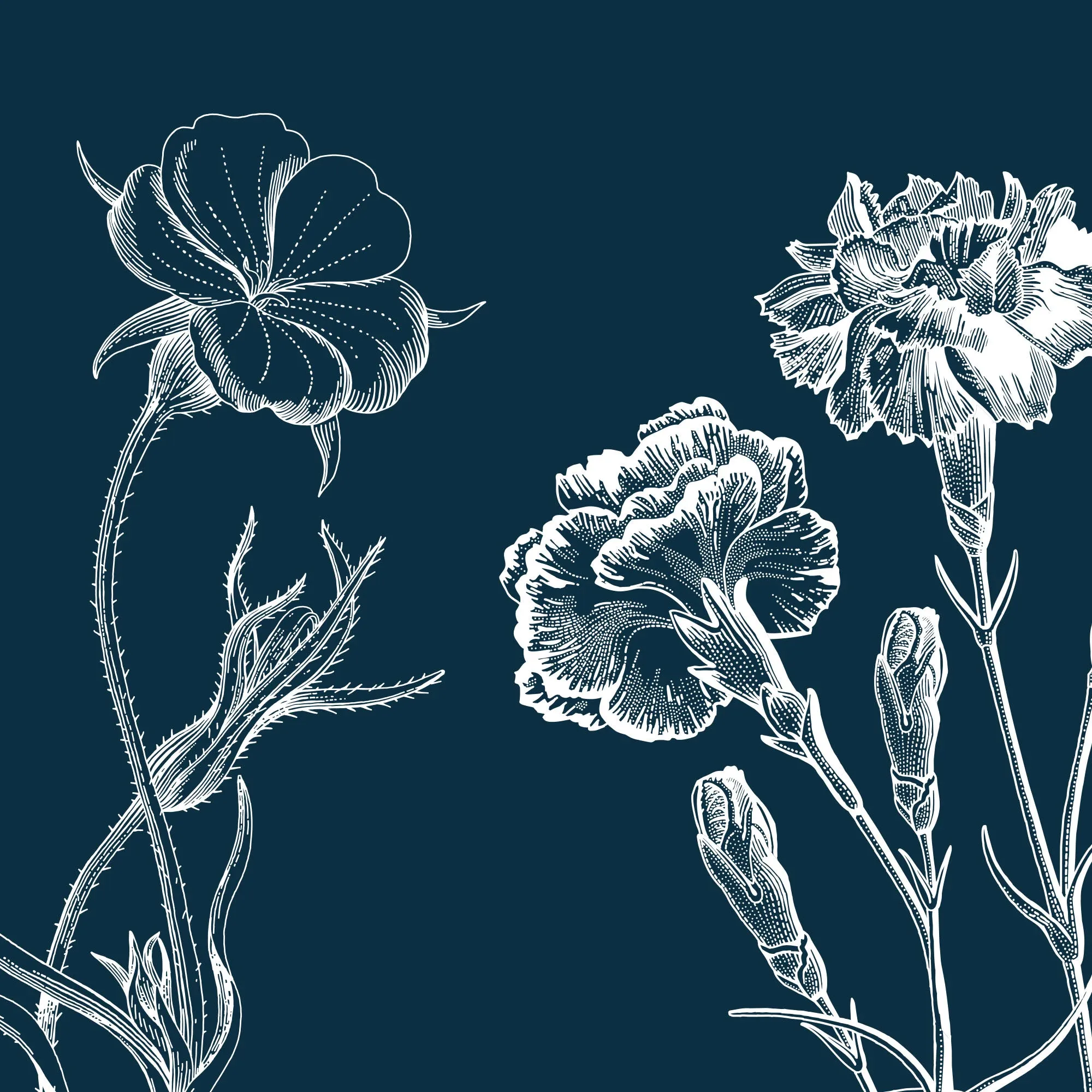 Vintage Floral Collage on Navy