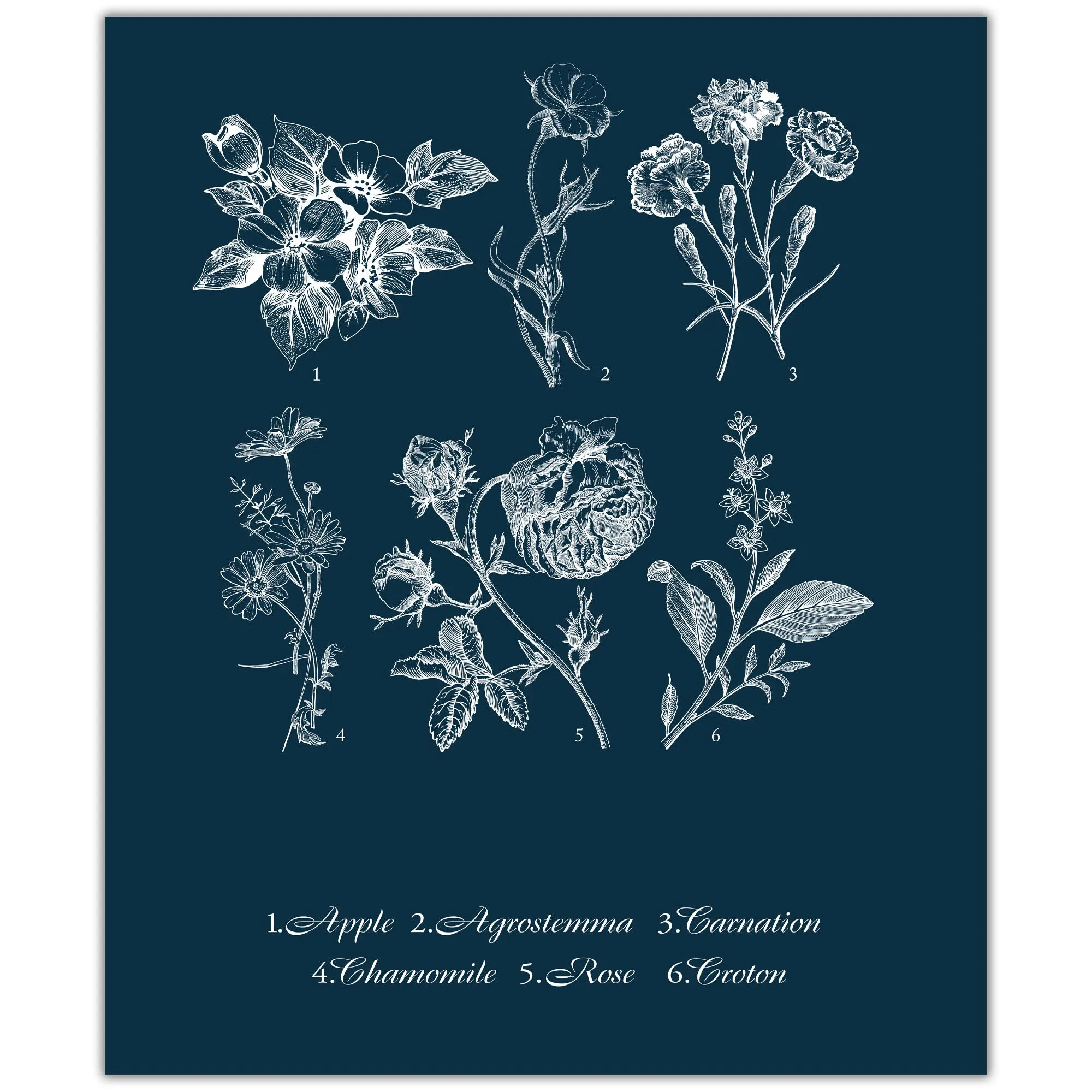 Vintage Floral Collage on Navy